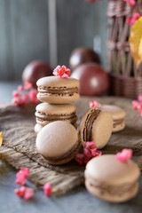 Fototapeta na wymiar French cake Macaron with chocolate filling and autumn leaves and pink flowers