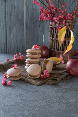 French cake Macaron with chocolate filling and autumn leaves and flowers