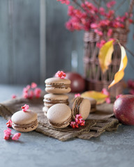 chocolate macarons decorated flowers and leaves on dark background