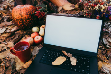 Using technologies for autumn shopping