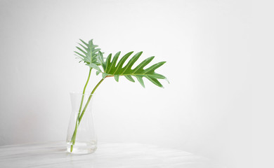 minimal bouquet of green leaf in vase on table. copy space