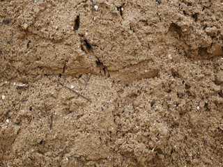 Sand for construction,texture of sand,dirty ground