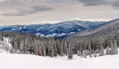 panorama of winter mountains