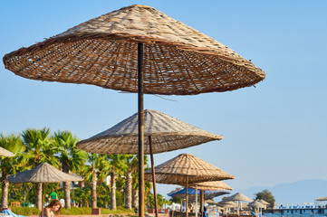 Beach with sun umbrellas and loungers. The coast resorts of the Aegean Sea of Turkey. Turgutreis , Bodrum.