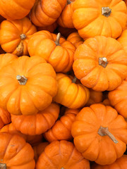 Calabaza de halloween