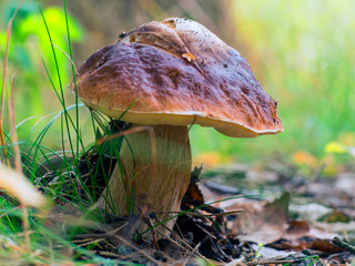 OLYMPUS DIGITAL CAMERA © ryszard