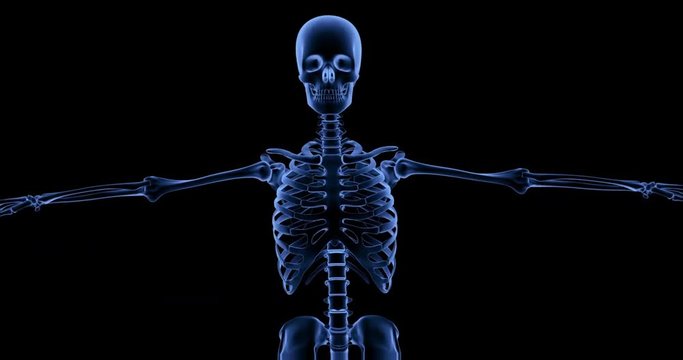 An animated x-ray of a human skeleton dancing and rotating 360 degrees back and forth.