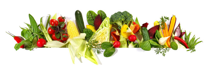 Frisches Bio Gemüse - Panorama Freigestellt auf weißem Hintergrund