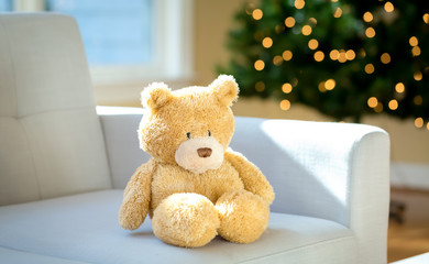 Teddy bear on a couch around Christmas time