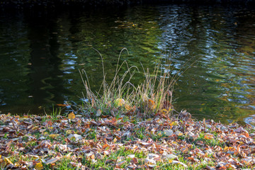 Park der Villa Berberich in Bad Säckingen