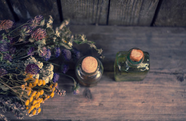 dried healthy plants, bottle of tincture or infusion. Top view. Herbal medicine.