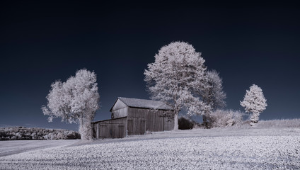infrared photography - ir photo of landscape with tree under sky with clouds - the art of our world...