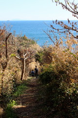 南伊豆 タライ岬遊歩道ハイキング