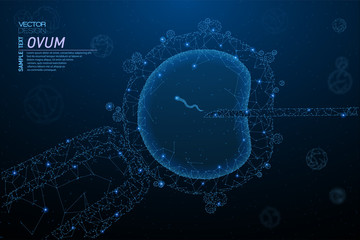 Artificial insemination, cell injection