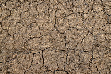 Dry cracked soil texture and background. Grunge soil background. Abstract ground. Natural abstraction. Cracked soil background