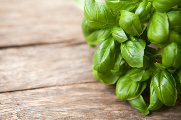 basilic frais sur fond de bois nature