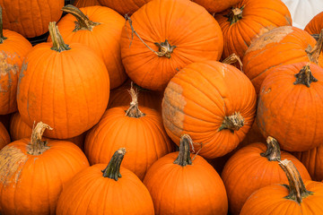 Imperfect pumpkins on display, farm fresh, with dirt.
