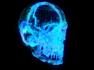 Fototapeta na wymiar 3d rendered illustration of a plexus skull