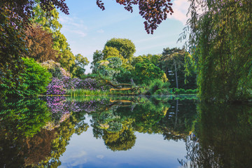 Botanischer Garten Marburg Wasserspiegelung, Marburg an der Lahn