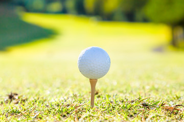 新緑のゴルフ場