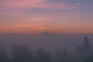 Foggy sunrise in Portland Oregon