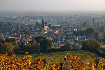 Deidesheim an der Weinstraße
