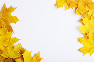 Fototapeta premium Autumn composition of leaves on a white background. Concept copy space.