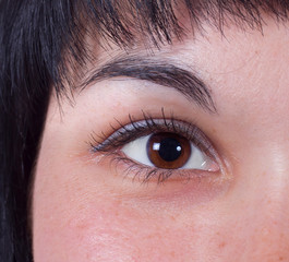 girl on white background