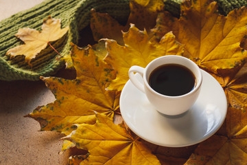 Autumn mood. White cup of coffee and yellow maple leaves, green scarf. 