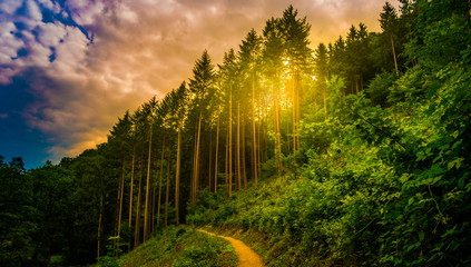 Beautiful landscape with pathway in the mountains forest at sunset. Hiking path in breathtaking panoramic view, inspirational summer landscape in forest. Walking footpath or biking path, dirt road.