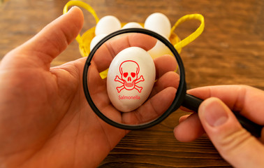 Ein Mann hält ein Ei in der Hand und betrachtet es mit einer Lupe. Es sind Salmonellen auf dem Ei.