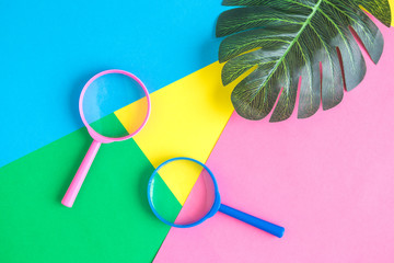 Flat lay of magnifiers with green leaves abstract on multicolored background.