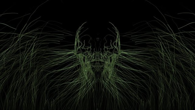 Skull Formed by Growing Grass. animation of grass blades or weeds forming a skull in the middle