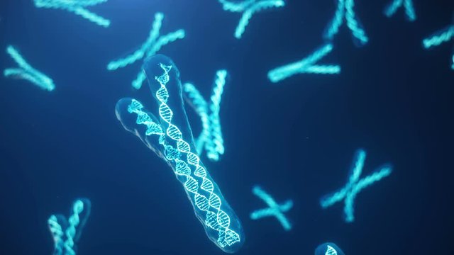 X and Y Chromosome on blue background. Chromosomes with DNA helix inside under microscope. Human chromosome. Illustration X and Y chromosome. Encoded genetic code.