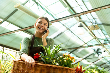 Image of beautiful woman gardener 20s wearing apron carrying basket with plants in greenhouse, and talking on mobile phone