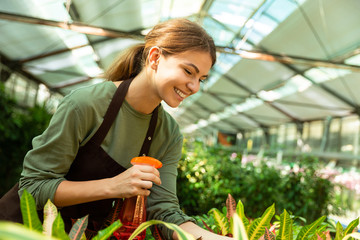 Image of brunette woman gardener standing over plants in greenhouse, and watering flowers with sprayer