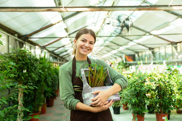 Image of smiling woman gardener 20s wearing apron standing with plants in hands, while working in greenhouse