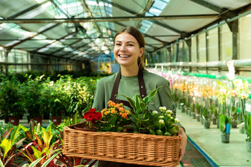 Image of brunette woman gardener 20s wearing apron carrying basket with plants, while working in greenhouse