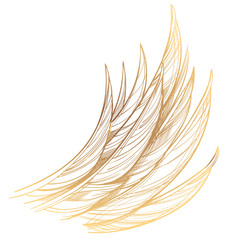 Vector illustration of golden wing, isolated on white background. Design element for emblem, sign, vintage style posters and more.