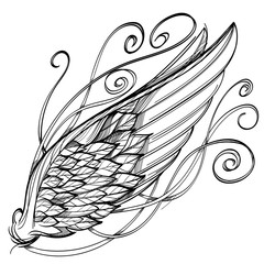 Vector illustration of wing, isolated on white background.