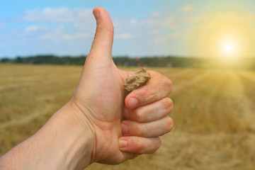 Agriculture is the best.