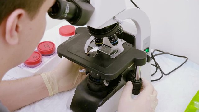 Veterinarian looking at biological sample from dog's ear under microscope in veterinary clinic. 4K