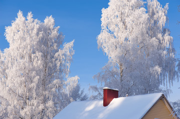 Frosted trees and house roof