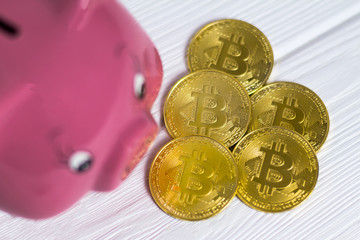 Pig bank and a drop gold bitcoins on the white wooden background, a saving money for future investment concept. Pig blury, bitcoins in focus