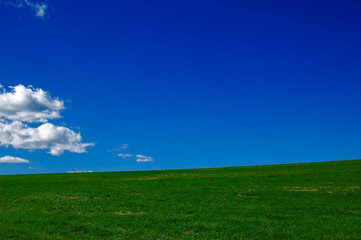 Meadow, sky and cloud