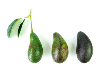 Raw avocado on white background.
