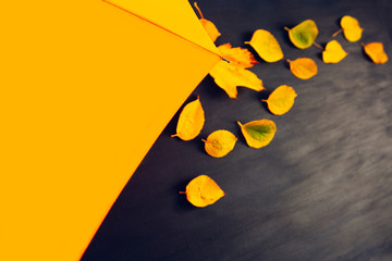 Yellow Autumn canvas background umbrella yellow leaves blue orange
