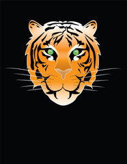 tiger vector illustration