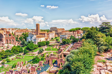 Naklejka premium The Roman Forum, the Tower of the Militia and the Coliseum view