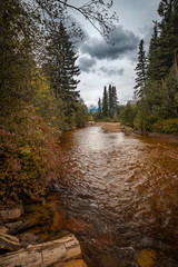 Fototapeta na wymiar At Swift Creek, Valemount, British Columbia, Canada